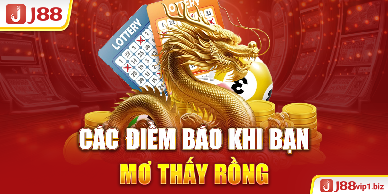 Giải Mã Mơ Thấy Rồng Là Điềm Báo Hên Hay Xui 2026 Các điềm báo khi bạn mơ thấy rồng
