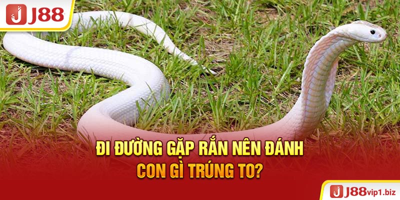 Đi Đường Gặp Rắn Đánh Con Gì Giúp Anh Em Trúng To 2026? Đi đường gặp rắn nên đánh con gì trúng to?
